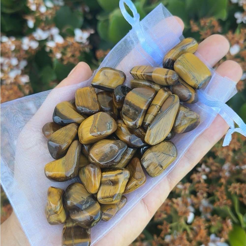 Tiger's Eye Tumbled Stone Lot 1/2 Pound Bulk